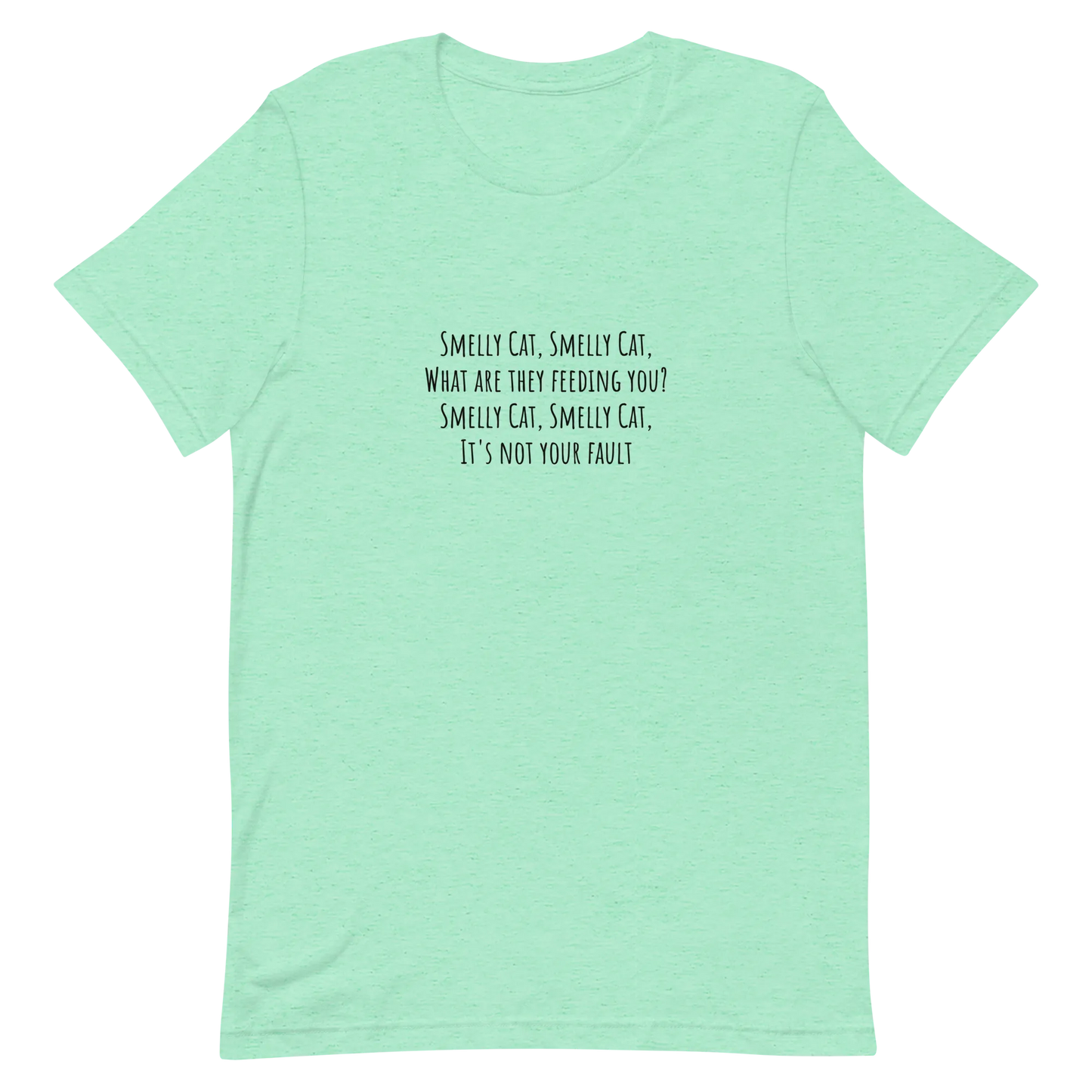 Smelly Cat Tee in Heather Mint flatlay